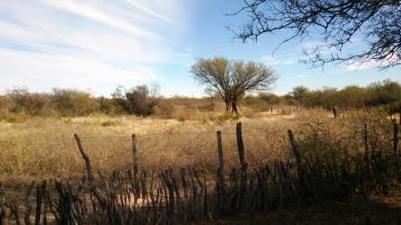 Ruta Nacional 147 · Belgrano — foto 9