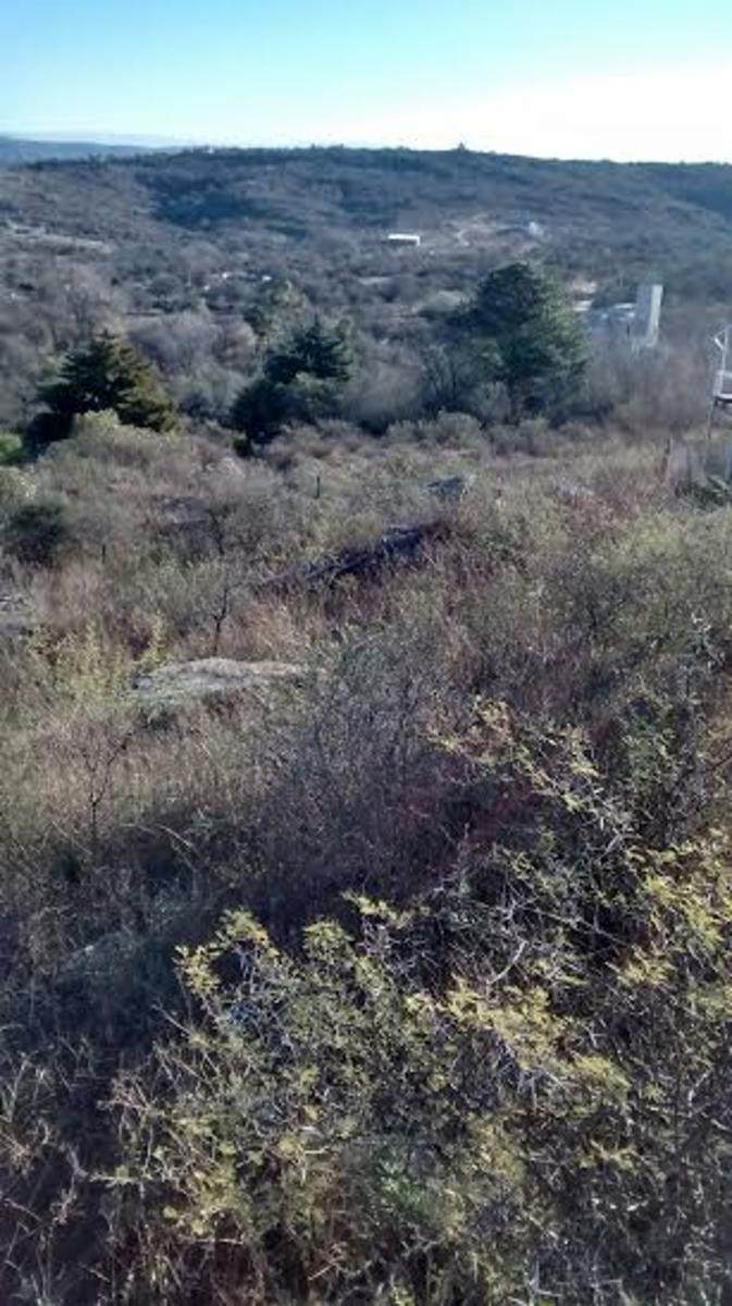 LOS ALGARROBOS · Punilla — foto 3