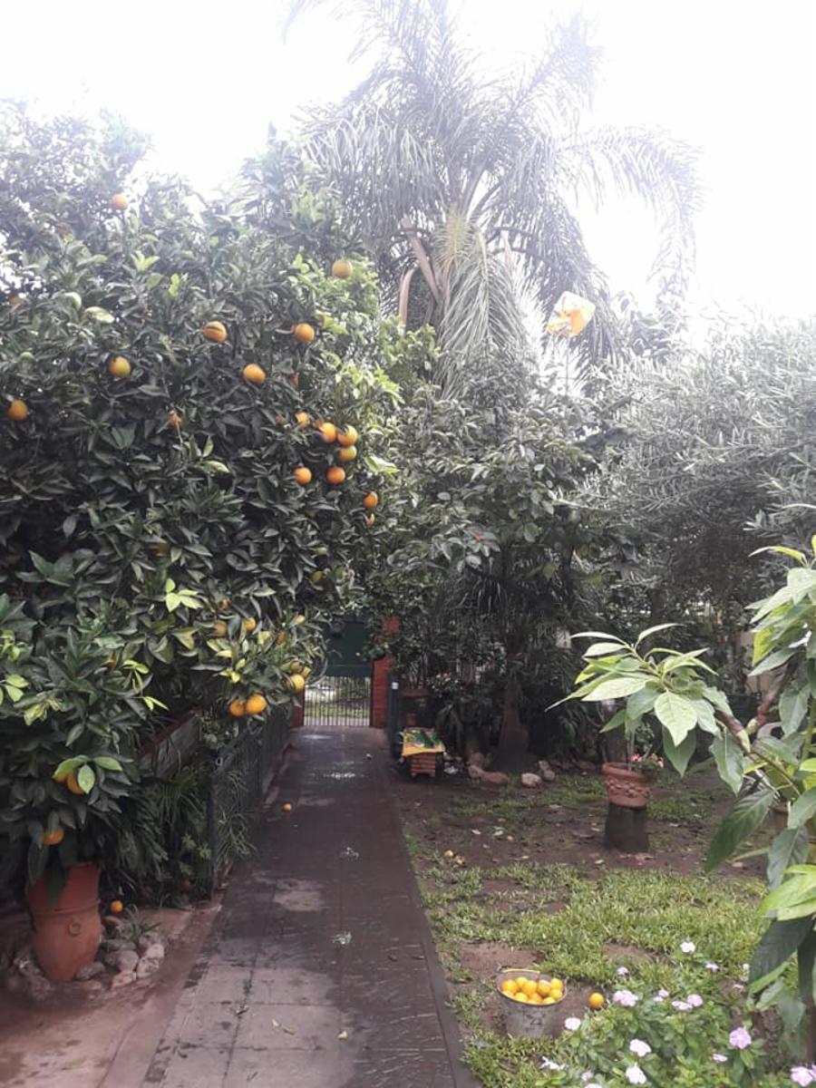 corrientes · Escobar — foto 8