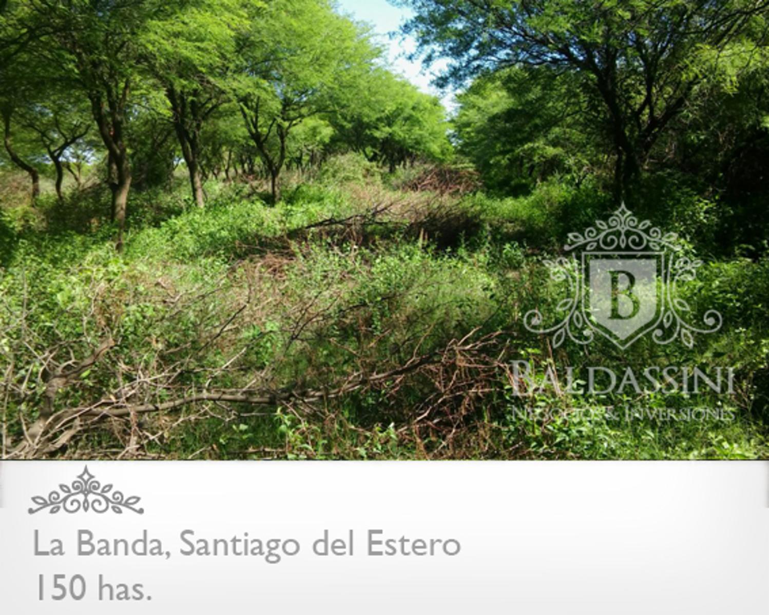 Campo 150 HAS Agrícola, en La Banda, Santiago del Estero