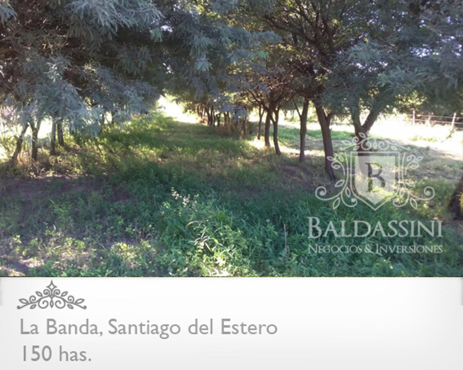 Campo 150 HAS Agrícola, en La Banda, Santiago del Estero · Capital — foto 6