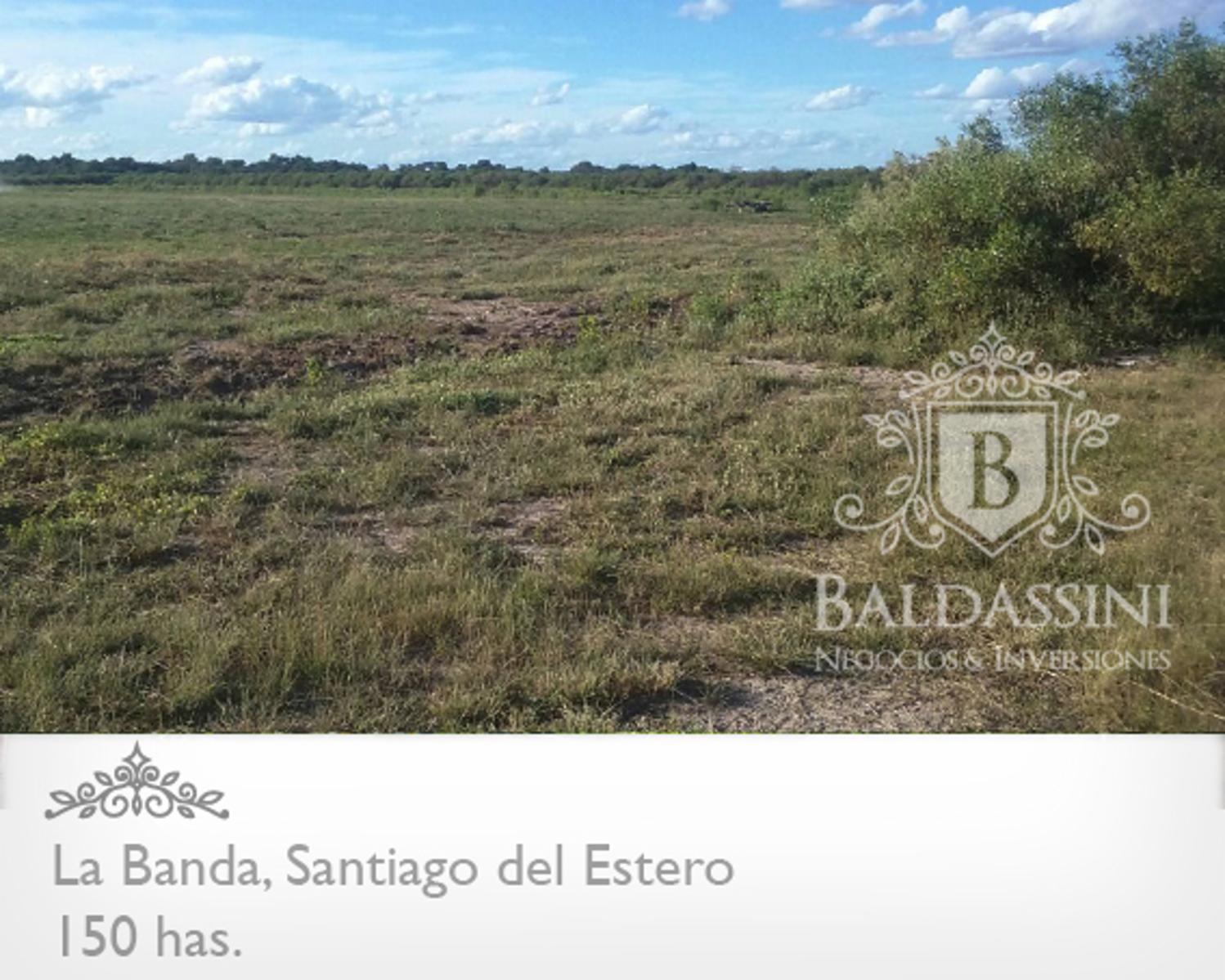 Campo 150 HAS Agrícola, en La Banda, Santiago del Estero · Capital — foto 7