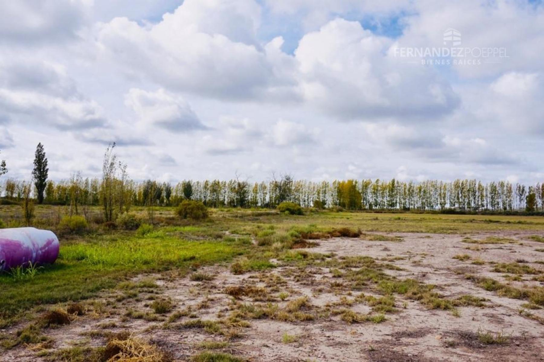 Acceso Este · Santa Rosa — foto 17