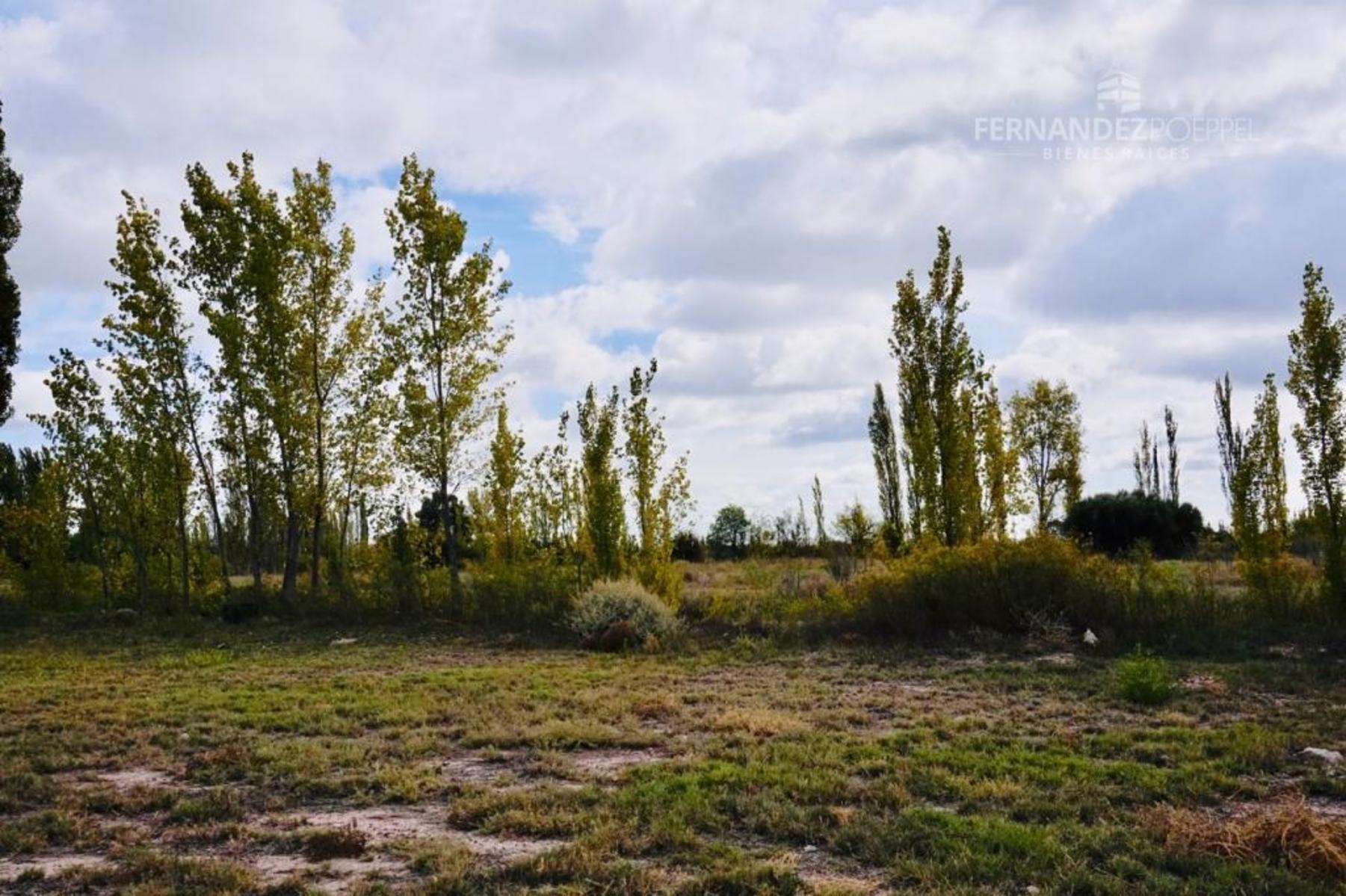 Acceso Este · Santa Rosa — foto 19