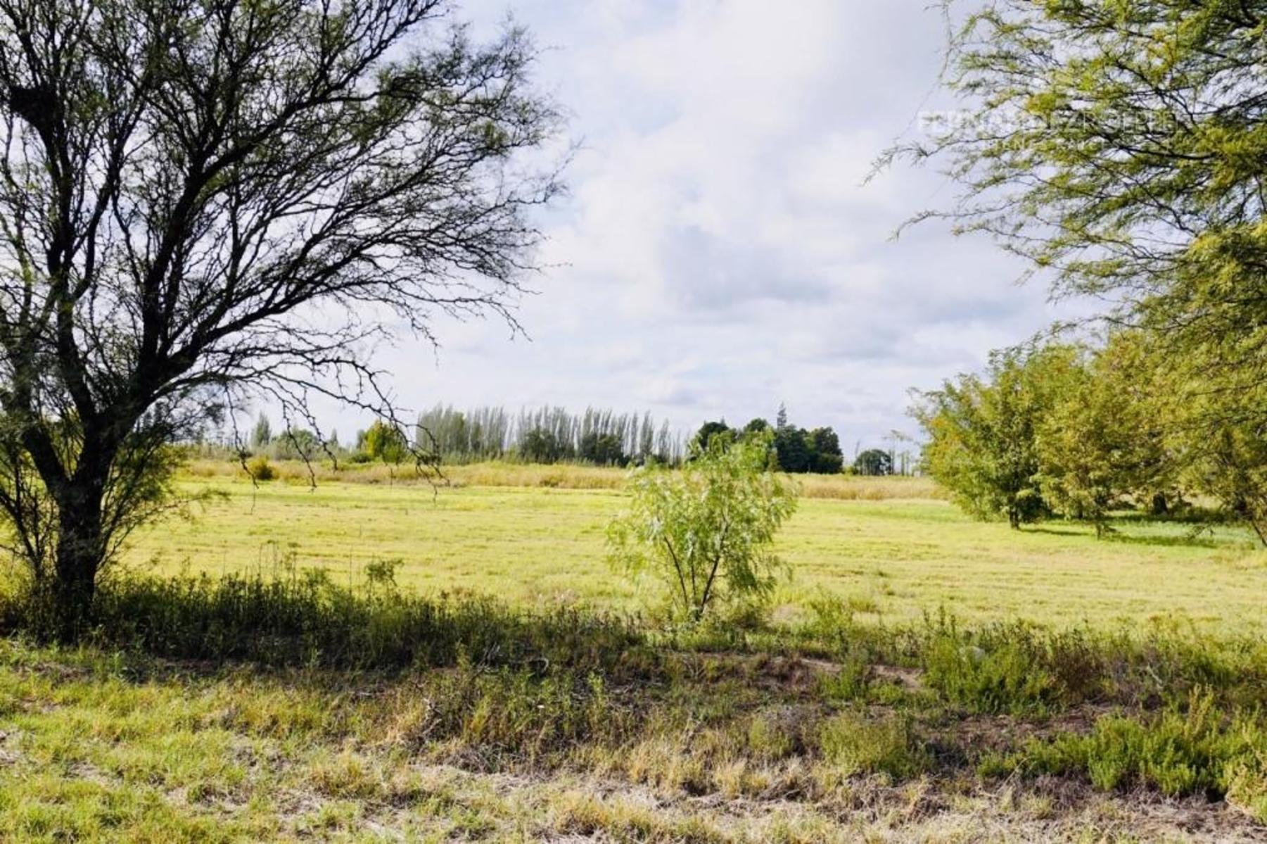 Acceso Este · Santa Rosa — foto 23