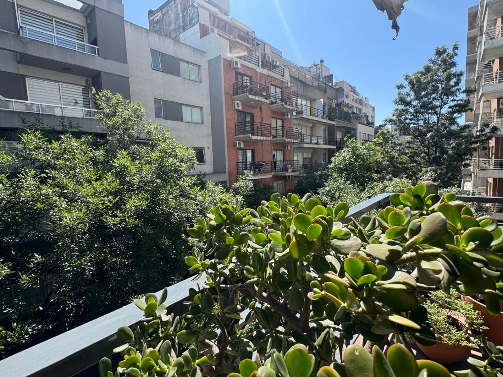 Ciudad de la Paz 3500 · Nuñez — foto 10