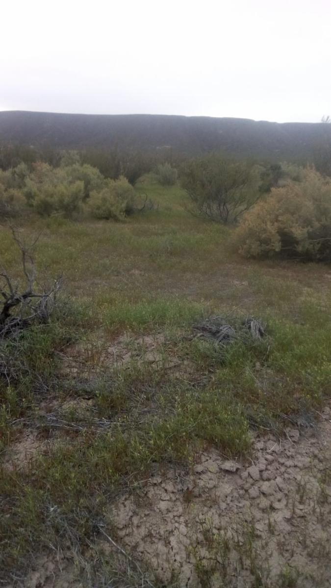 RUTA 143 · Limay Mahuida — foto 11