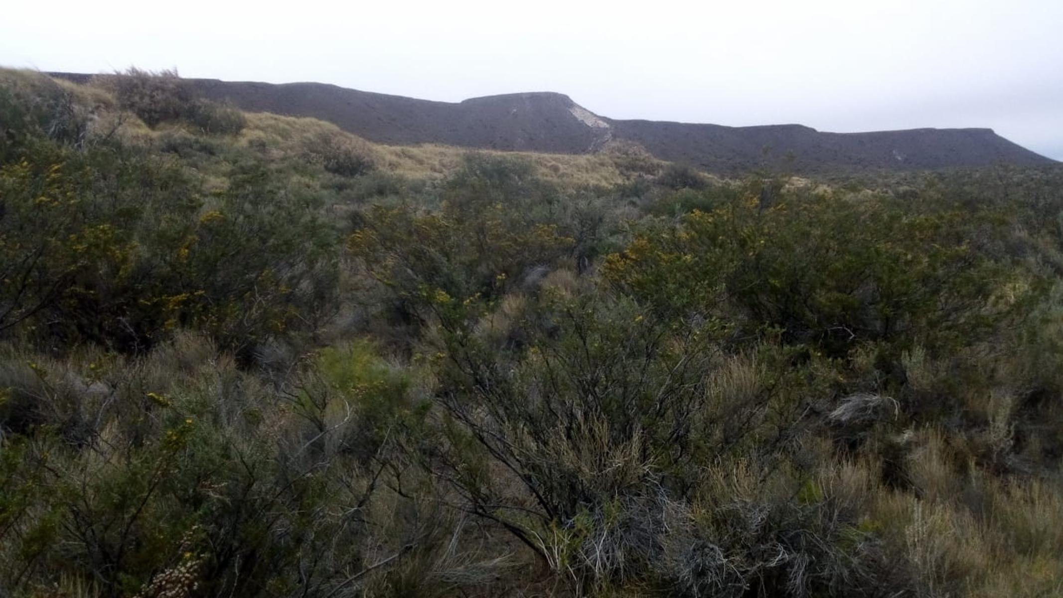 RUTA 143 · Limay Mahuida — foto 12