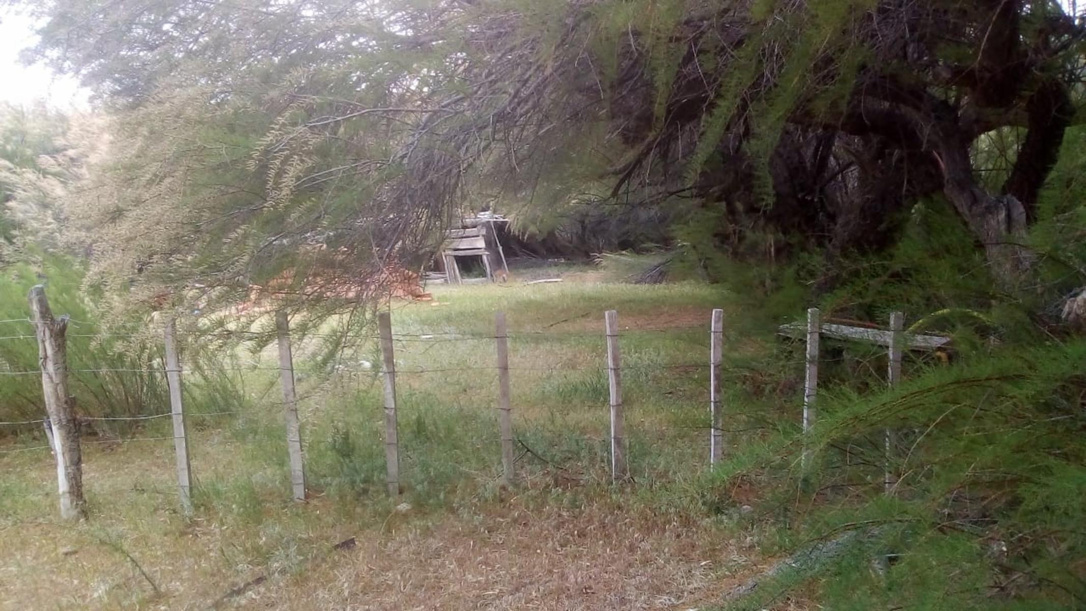 RUTA 143 · Limay Mahuida — foto 13