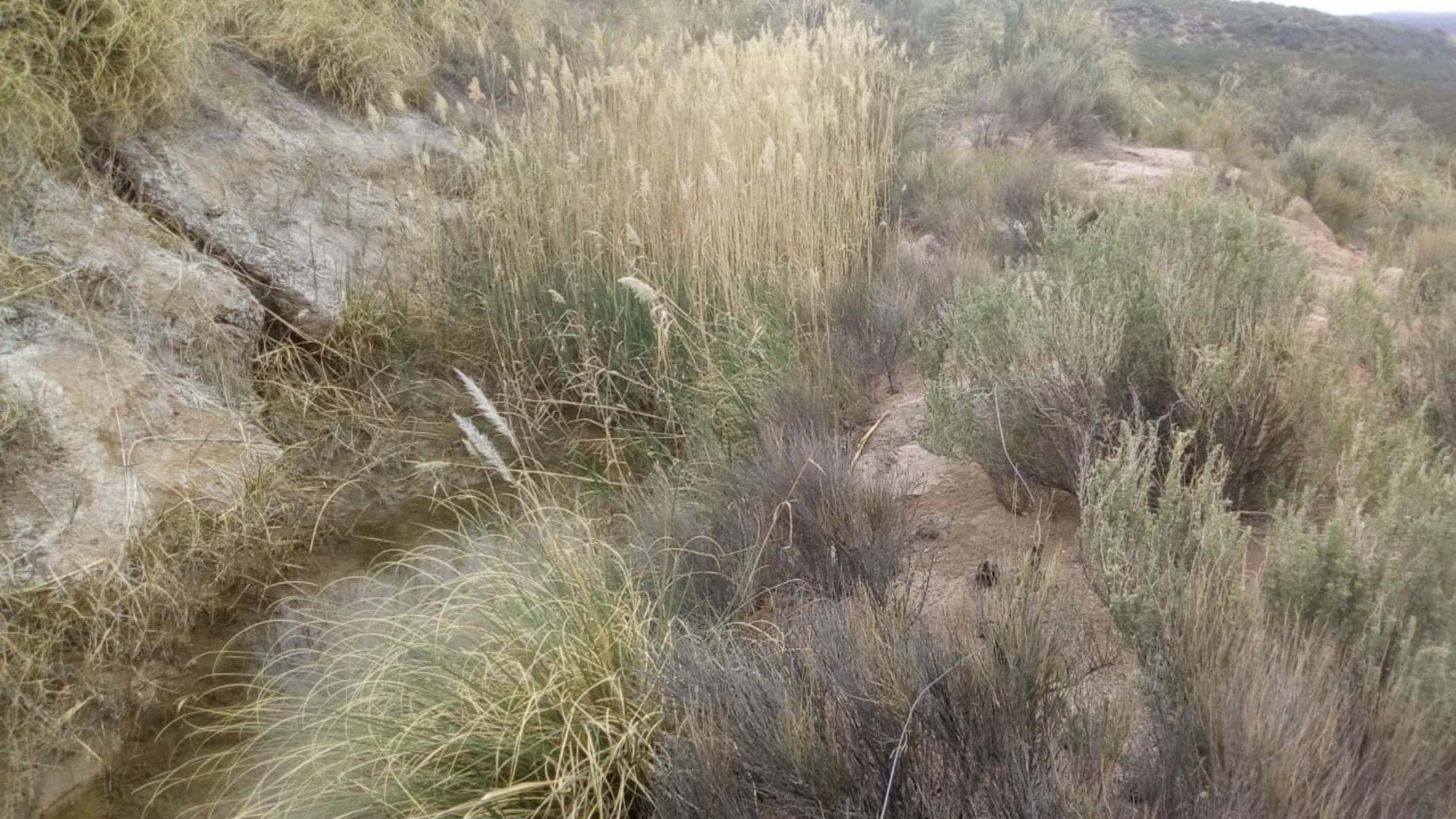 RUTA 143 · Limay Mahuida — foto 14