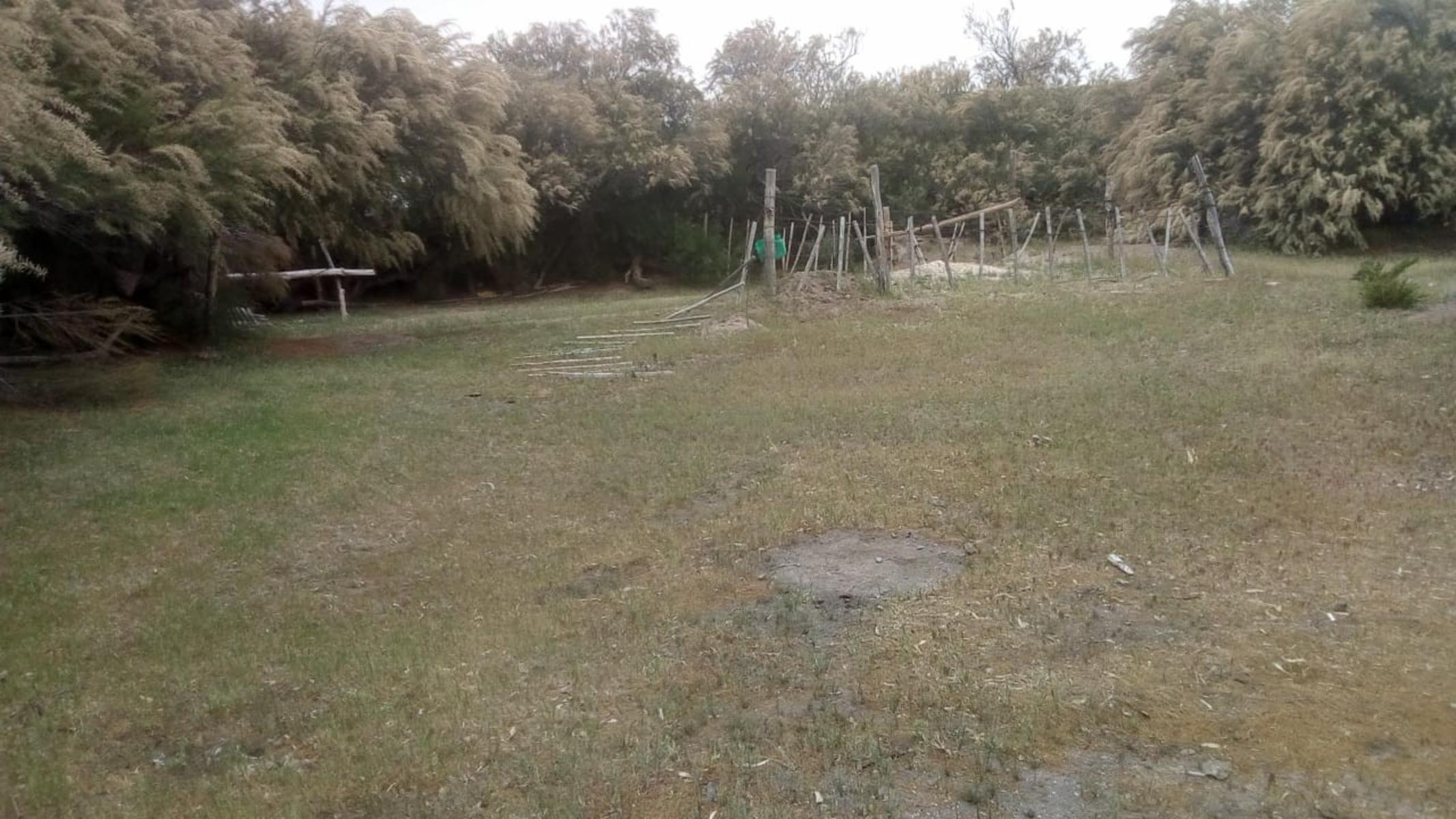 RUTA 143 · Limay Mahuida — foto 15