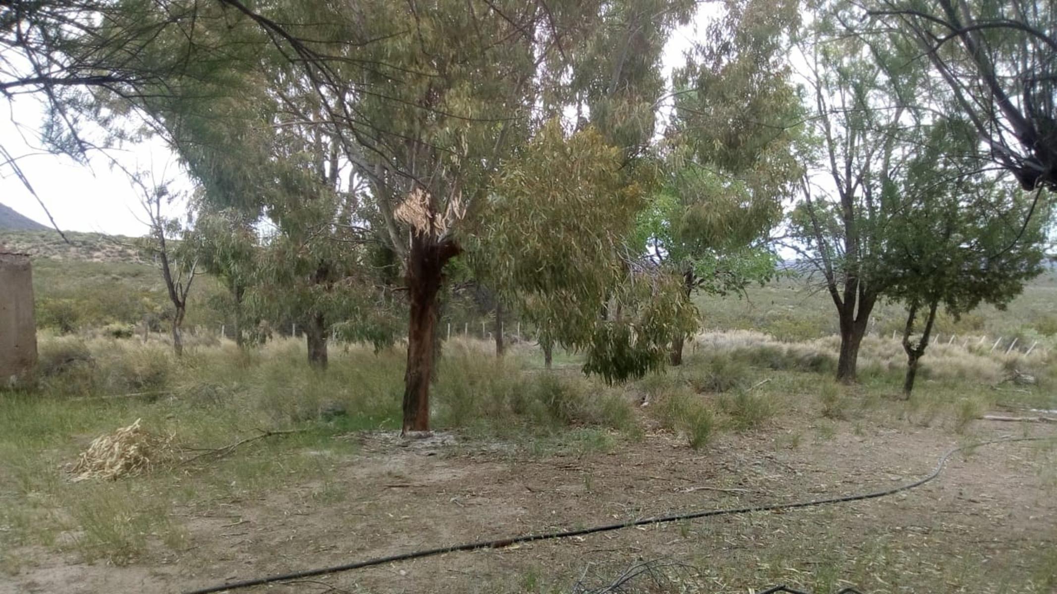 RUTA 143 · Limay Mahuida — foto 16