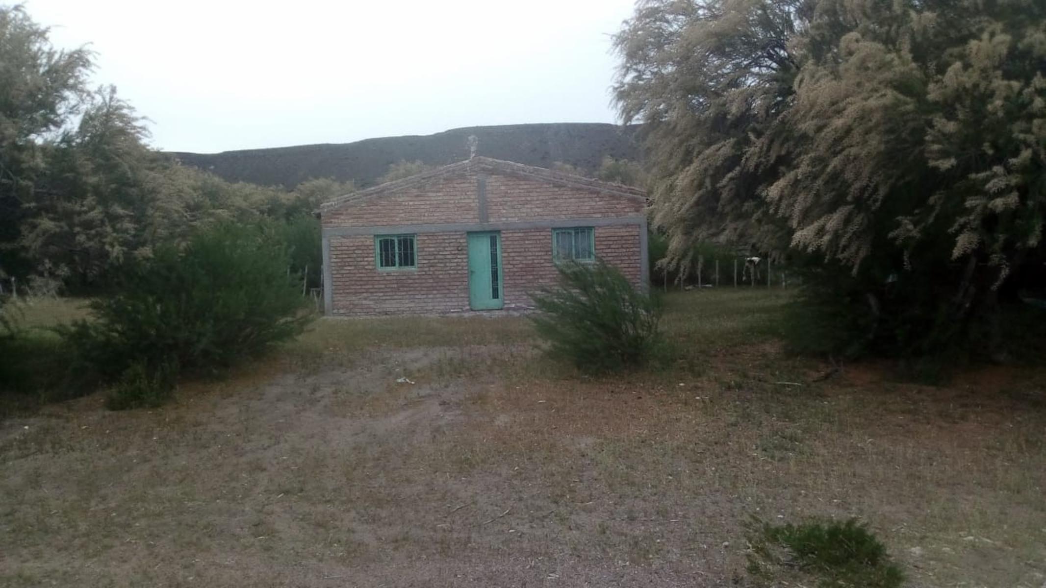 RUTA 143 · Limay Mahuida — foto 19