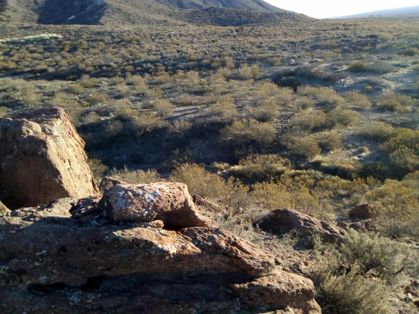 RUTA 143 · Limay Mahuida — foto 21