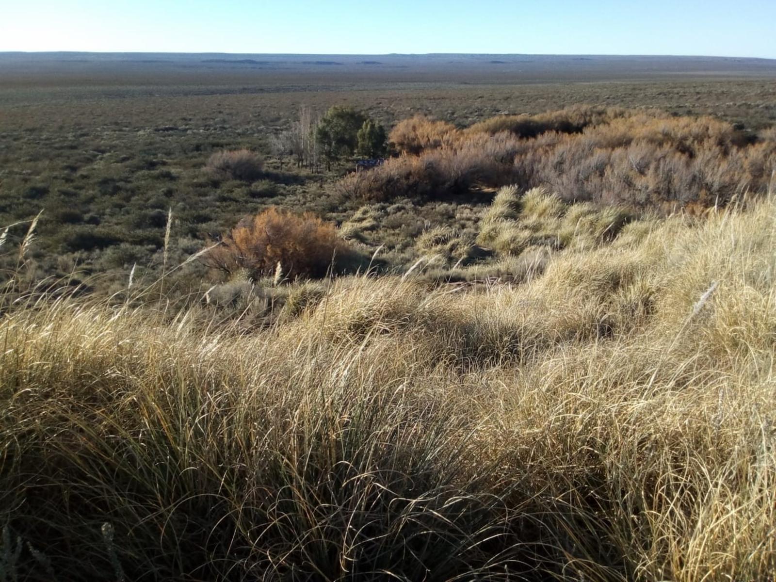 RUTA 143 · Limay Mahuida — foto 22