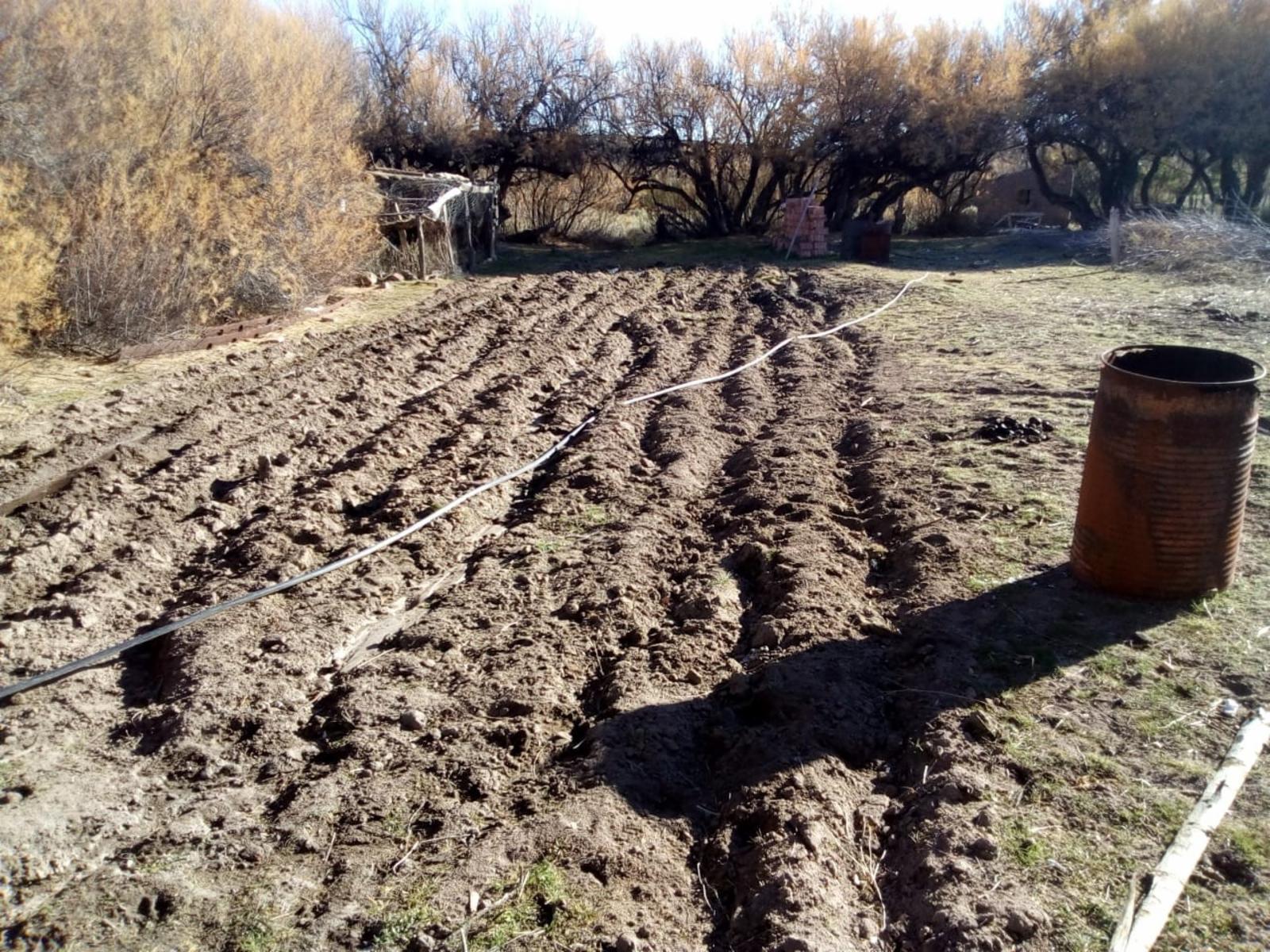 RUTA 143 · Limay Mahuida — foto 26