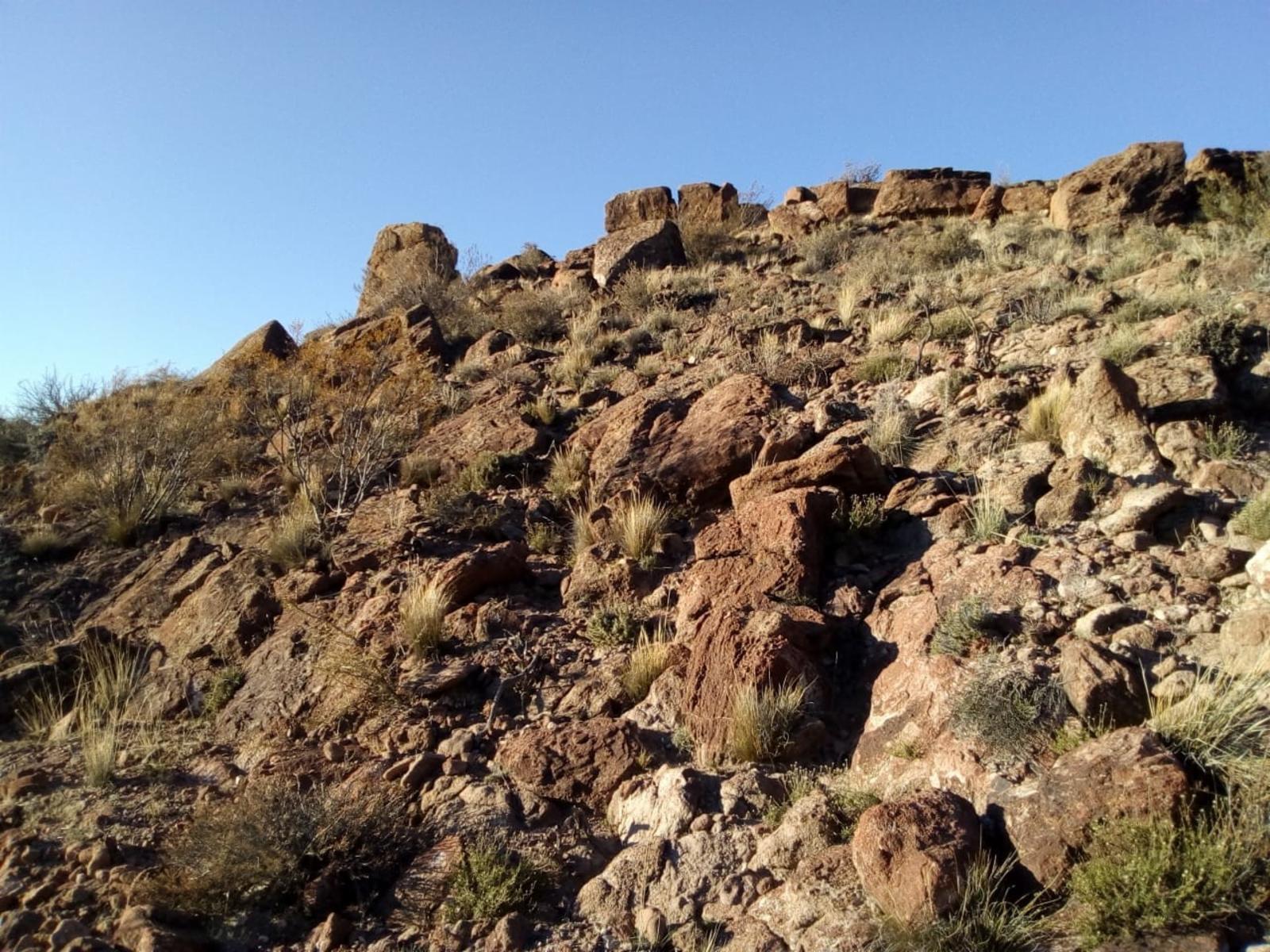 RUTA 143 · Limay Mahuida — foto 27
