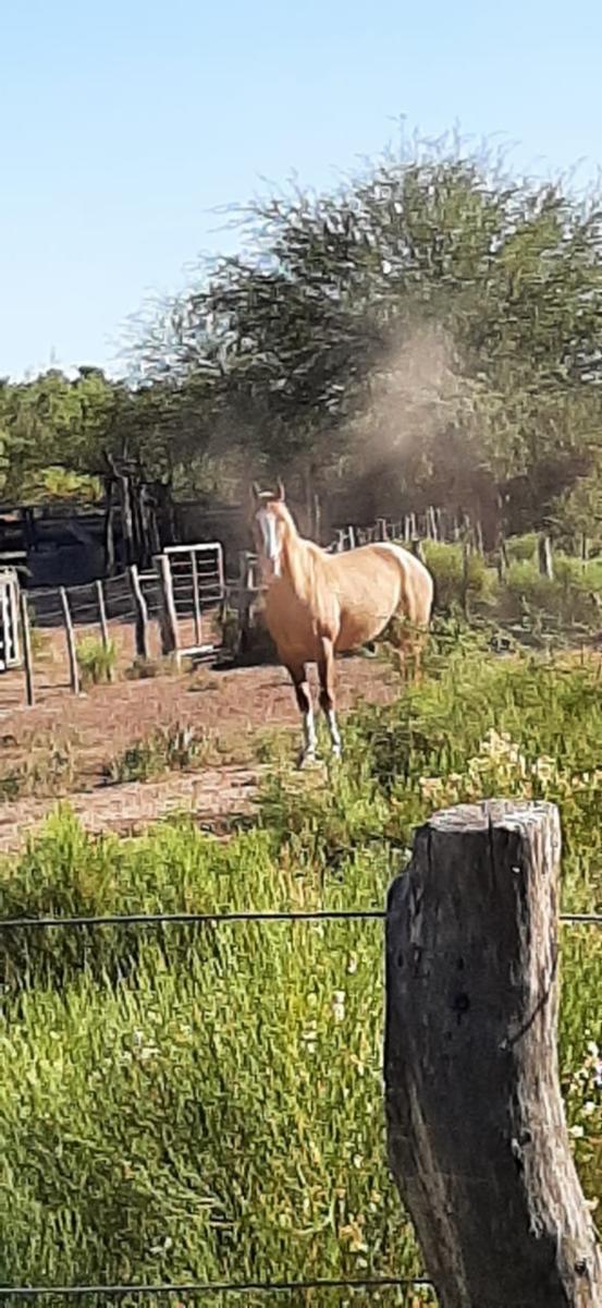 RUTA 143 · Limay Mahuida — foto 4
