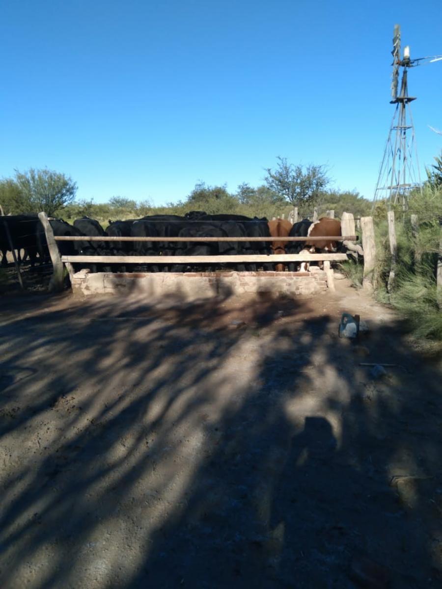 RUTA 143 · Limay Mahuida — foto 31