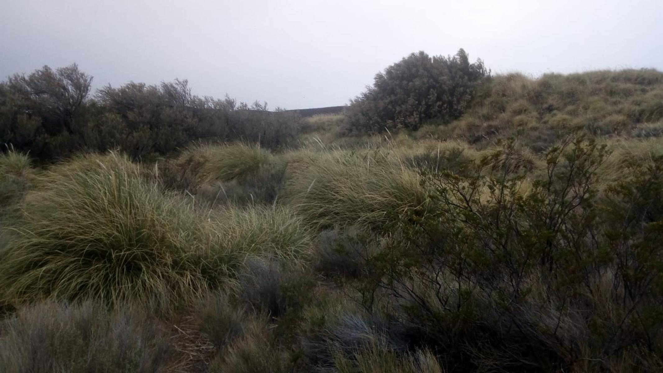RUTA 143 · Limay Mahuida — foto 6