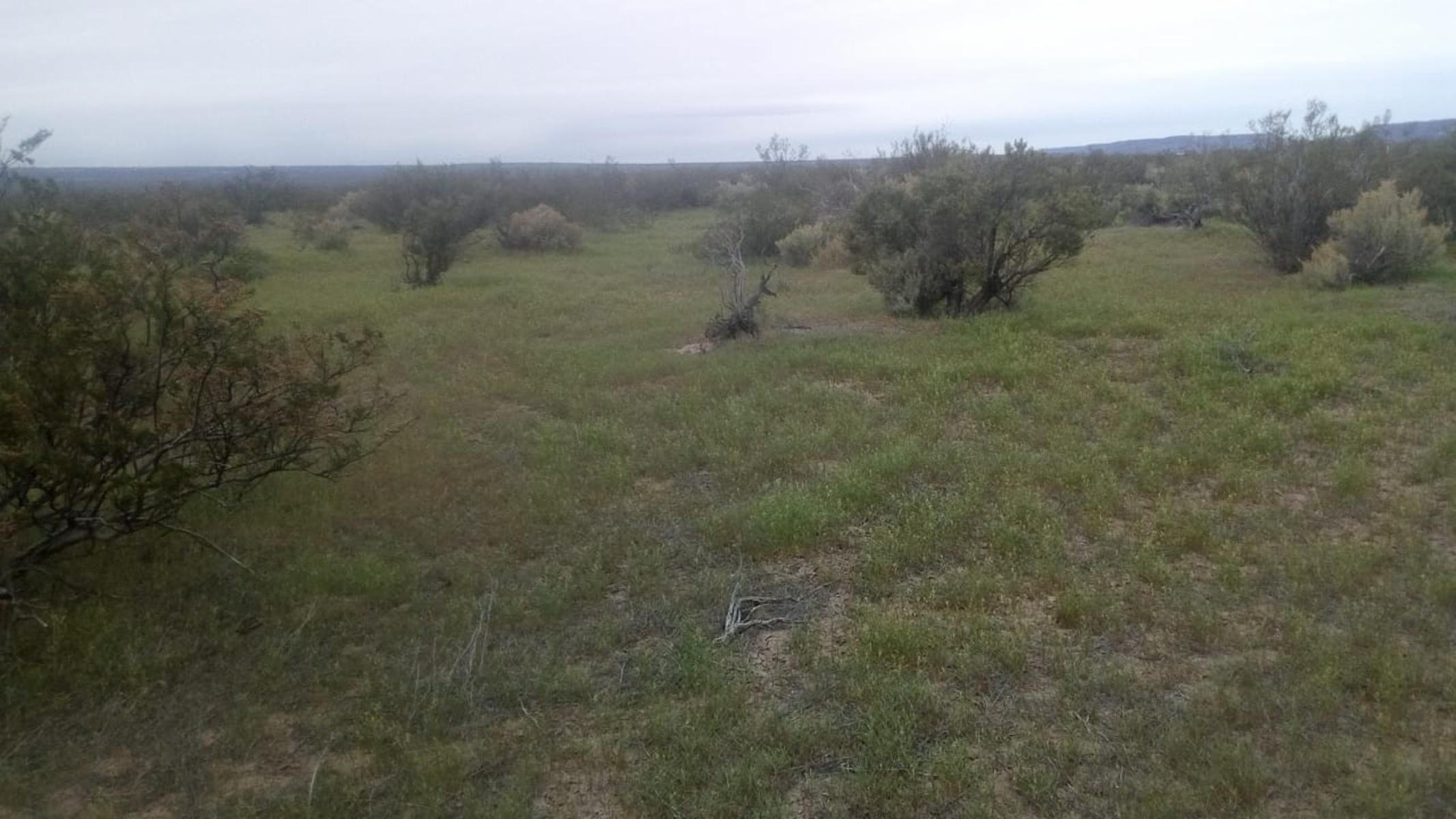 RUTA 143 · Limay Mahuida — foto 10