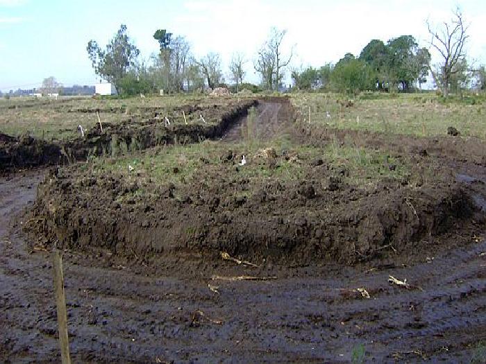 Av. M. Castex 1277 , Canning (Plaza Canning local 18) · Esteban Echeverría — foto 22