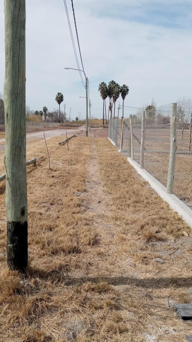 C.ALFONZO XII Y TIRASSO GUAYMALLÉN MENDOZA · Guaymallén — foto 25