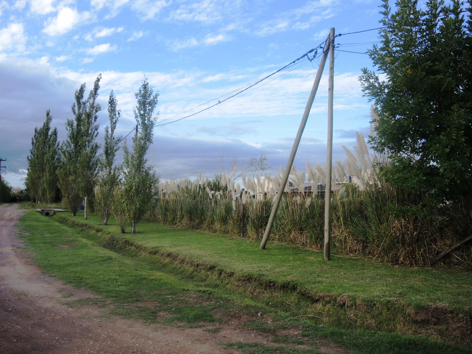 Calle 241 99 · Lobos — foto 8
