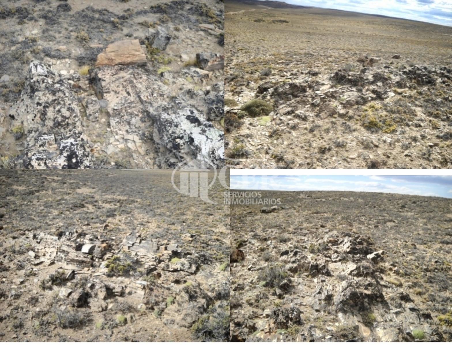 RUTA 3 · Deseado — foto 3