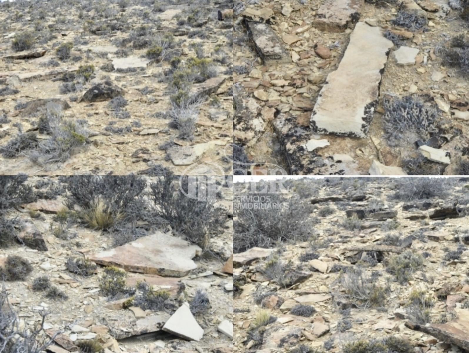 RUTA 3 · Deseado — foto 4