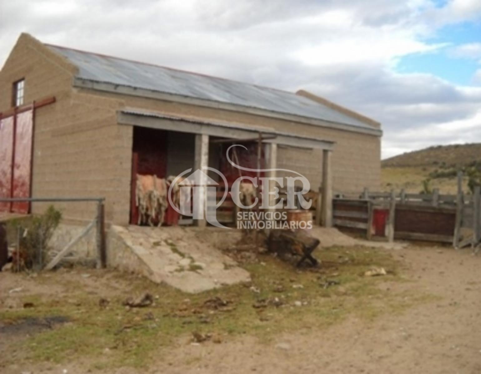 RUTA 3 · Deseado — foto 6