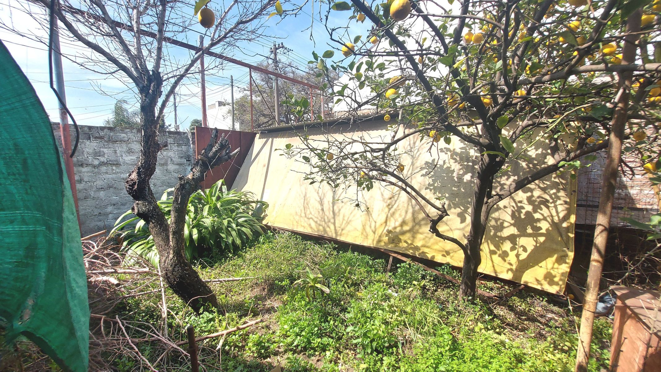 CONSCRIPTO IBAÑEZ 507 · Morón — foto 7
