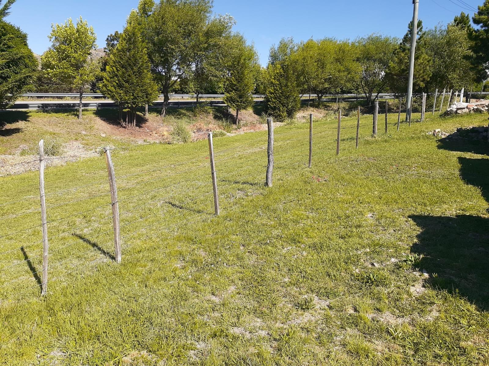 RUTA 9 KILOMETRO 78 · Coronel Pringles — foto 4