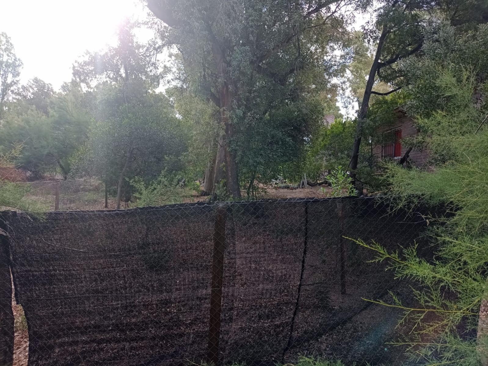 Barraca de los loros · Monte Hermoso — foto 6