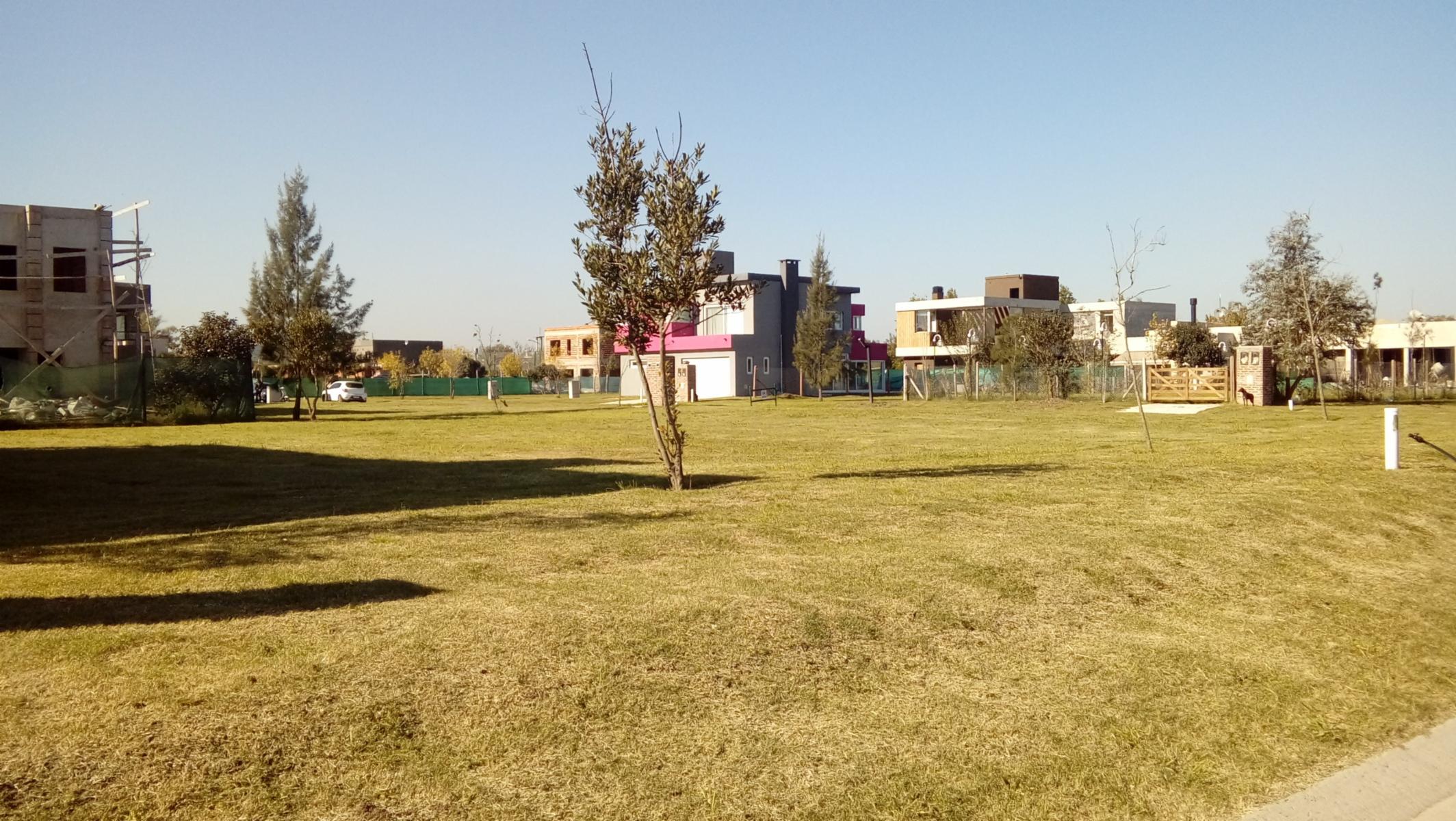 Soler 495 · Almirante Brown — foto 21