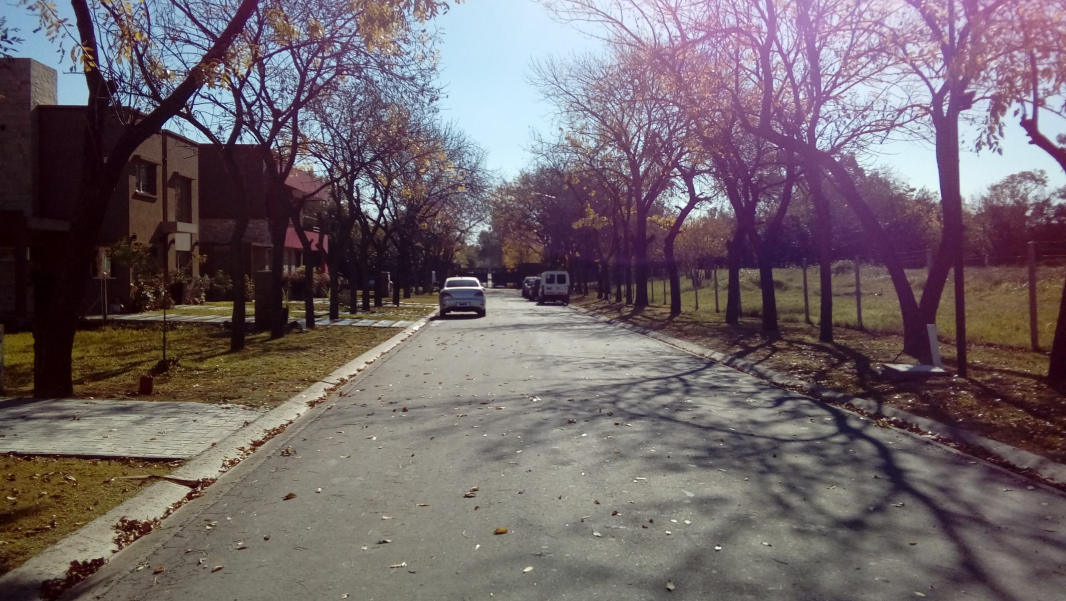 Soler 495 · Almirante Brown — foto 24