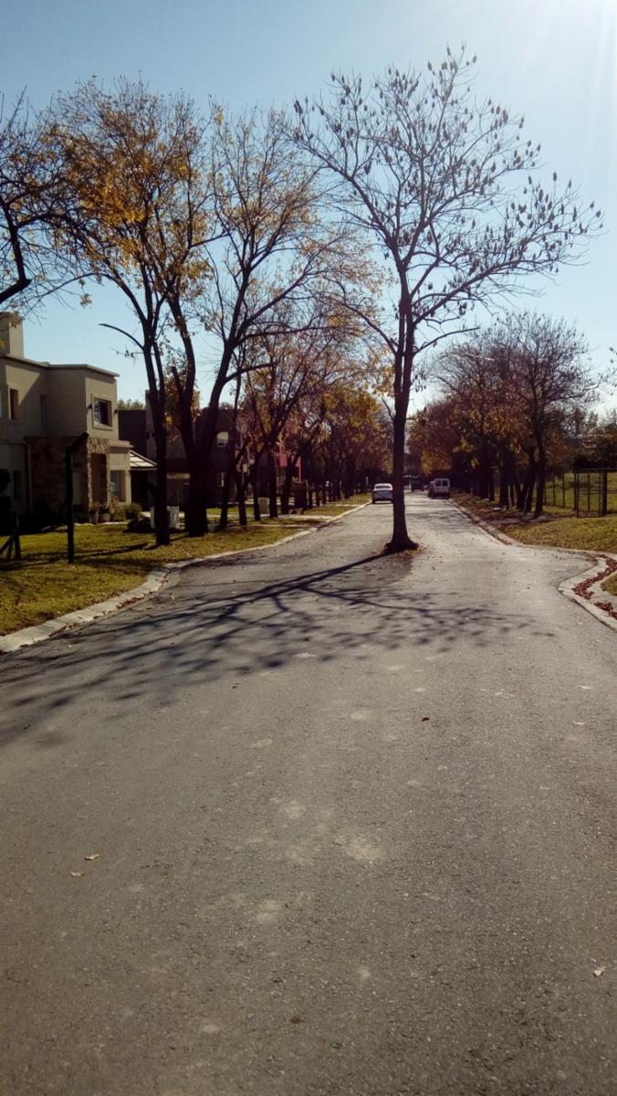 Soler 495 · Almirante Brown — foto 26