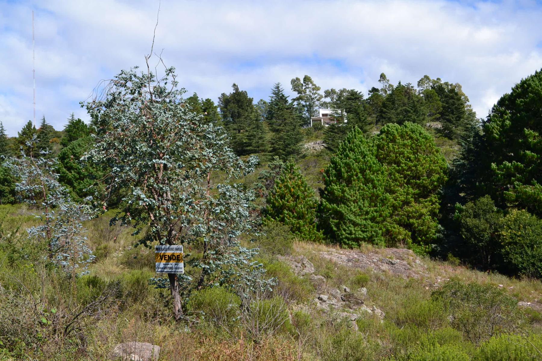 En TANTI , Barrio Tanti Lomas · Punilla — foto 10