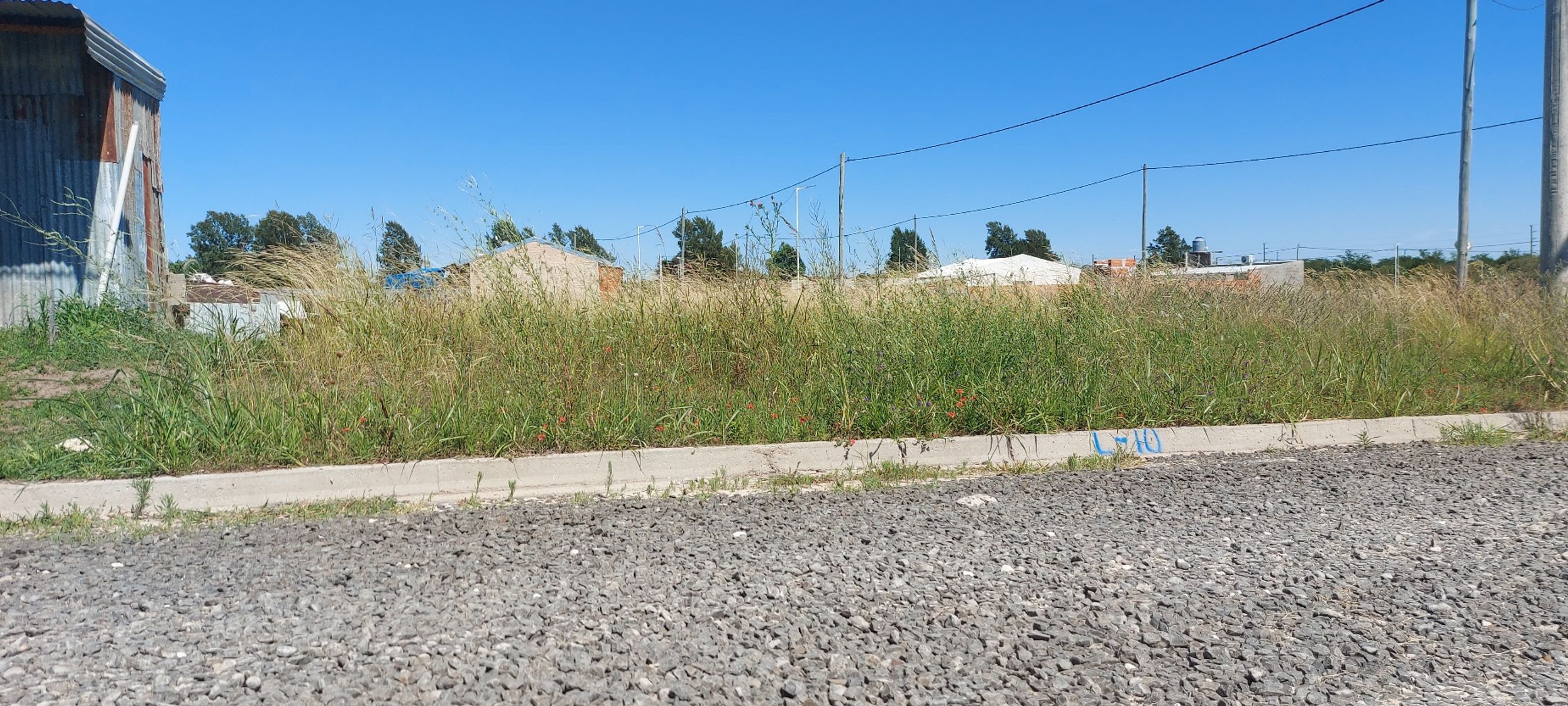 Ruta 12 · Paraná — foto 4