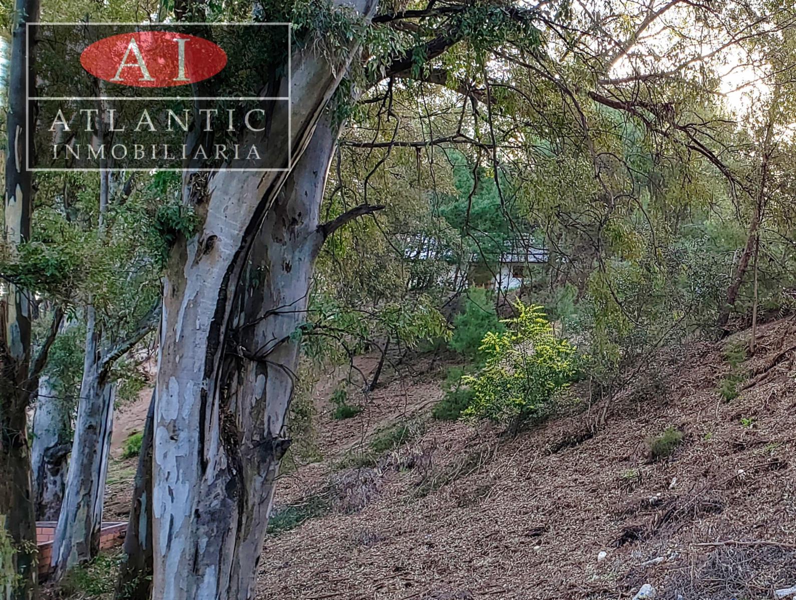 Miramar 730 · Monte Hermoso — foto 8