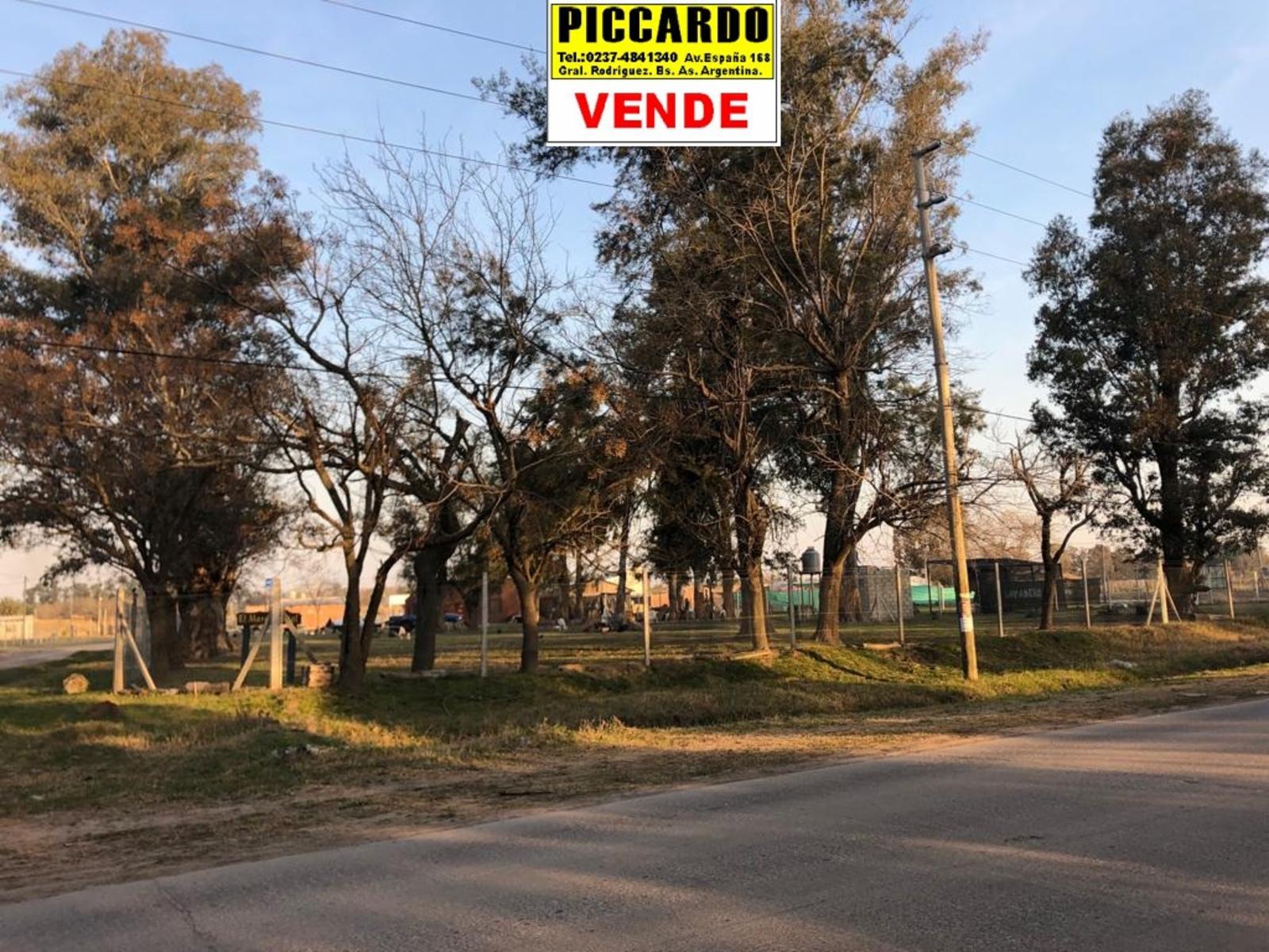 Camino a Navarro · General Rodriguez — foto 3
