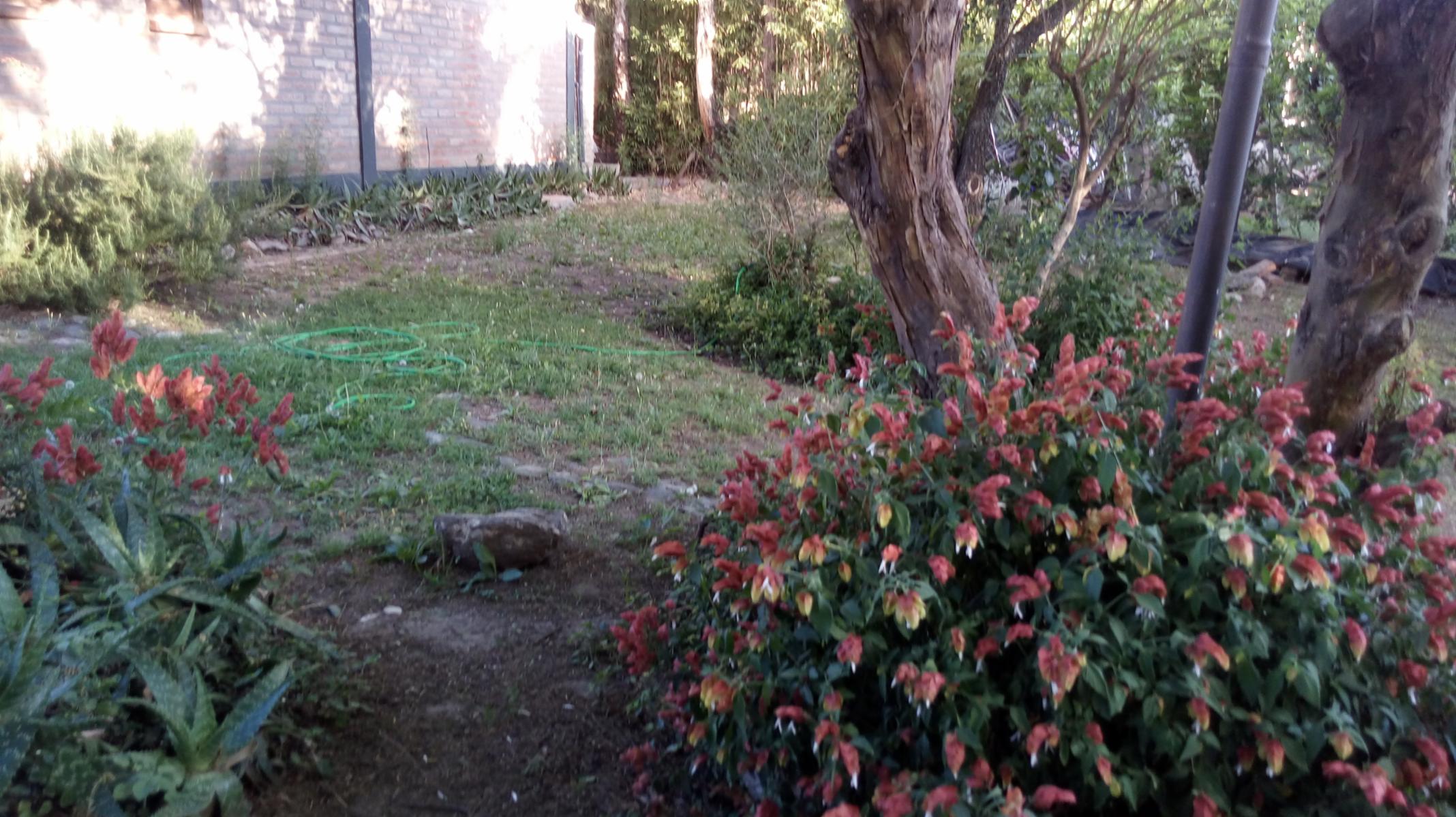 Las Golondrinas · Junín — foto 13