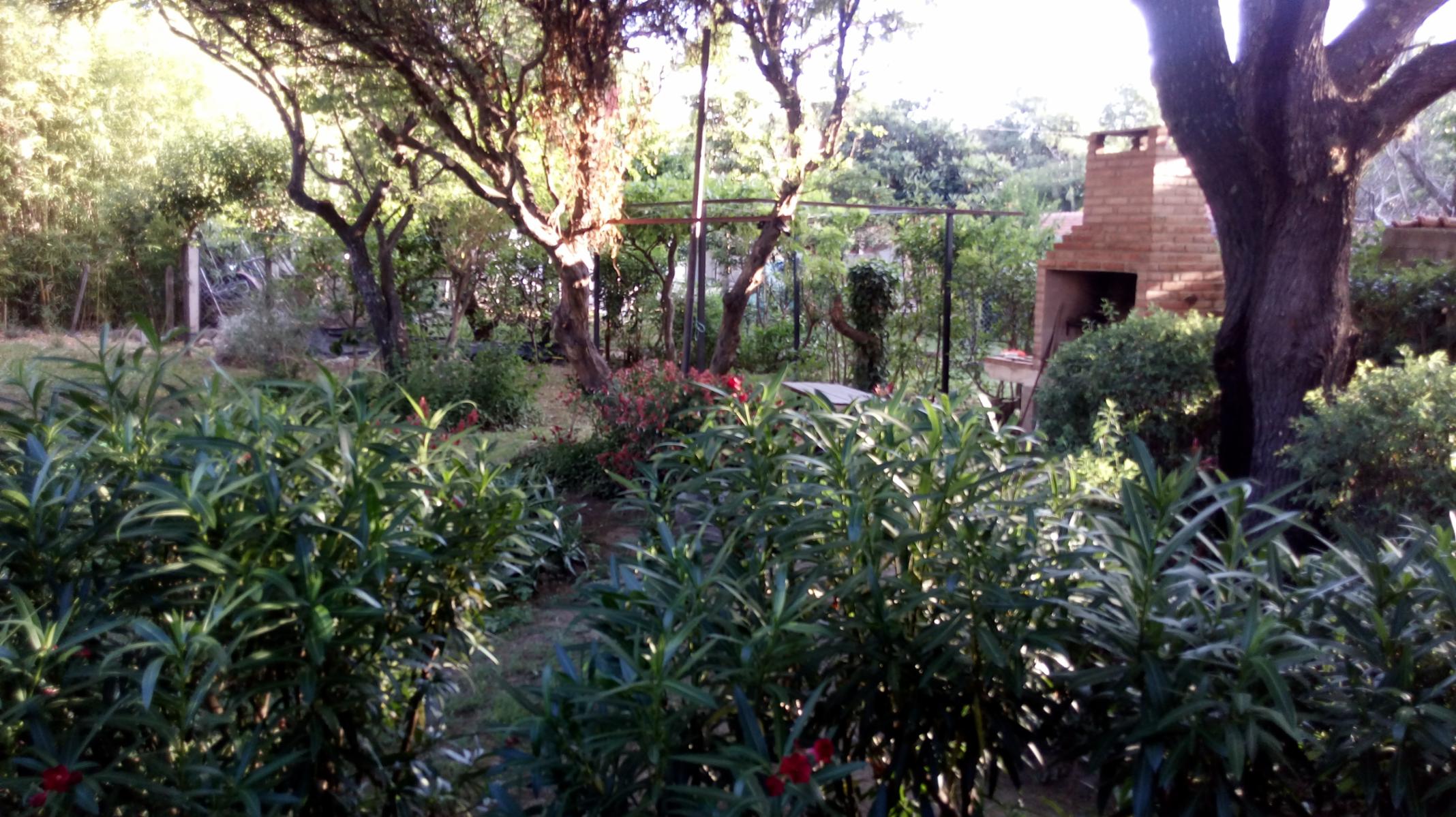 Las Golondrinas · Junín — foto 3